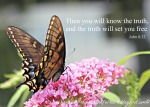 swallowtail  Bible verse John 8 verse 32 wm 3515